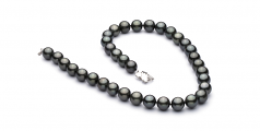 Noir 10.9-13.8mm AAA-qualité de Tahiti 585/1000 Or Blanc-Collier de perles