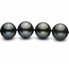 Noir 10.9-13.8mm AAA-qualité de Tahiti 585/1000 Or Blanc-Collier de perles