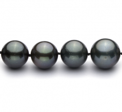 Noir 11-13.5mm AA+-qualité de Tahiti 585/1000 Or Blanc-Collier de perles