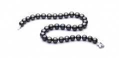 Noir 11.1-11.94mm AAA-qualité de Tahiti 585/1000 Or Blanc-Collier de perles