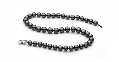 Noir 9.1-11mm AA+-qualité de Tahiti 585/1000 Or Blanc-Collier de perles