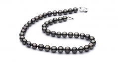 Noir 9.2-10.9mm AAA-qualité de Tahiti 585/1000 Or Blanc-Collier de perles