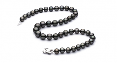 Noir 9.5-11mm AAA-qualité de Tahiti 585/1000 Or Blanc-Collier de perles