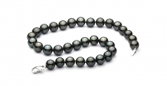 Noir 12-12.87mm AAA-qualité de Tahiti 585/1000 Or Blanc-Collier de perles