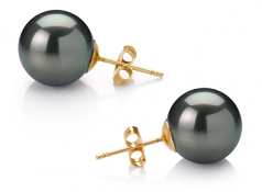 Noir 12-13mm AAA-qualité de Tahiti 585/1000 Or Jaune-Boucles d'oreilles en perles
