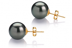 Noir 12-13mm AAA-qualité de Tahiti 585/1000 Or Jaune-Boucles d'oreilles en perles
