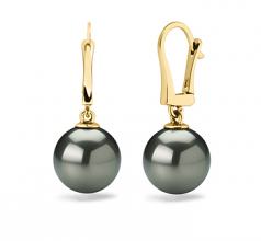 Elements Noir 10-11mm AAA-qualité de Tahiti 585/1000 Or Jaune-Boucles d'oreilles en perles
