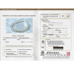 Blanc 6.5-7mm Hanadama - AAAA-qualité Akoya du Japon 585/1000 Or Jaune-Bracelet de perles