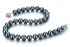 Noir 8-8.5mm AAA-qualité Akoya du Japon 925/1000 Argent-Collier de perles
