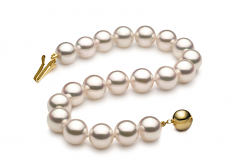 Blanc 7.5-8mm Hanadama - AAAA-qualité Akoya du Japon 585/1000 Or Jaune-Bracelet de perles