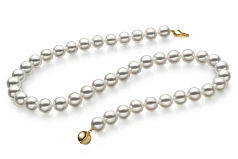 Blanc 8-8.5mm Hanadama - AAAA-qualité Akoya du Japon 585/1000 Or Jaune-Collier de perles