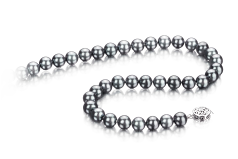 Argent Noir 7-7.5mm AAA-qualité Akoya du Japon 925/1000 Argent-Collier de perles