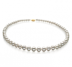 Blanc 4-10mm AAA-qualité perles d'eau douce Rempli D'or-Collier de perles