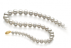 Blanc 4-10mm AAA-qualité perles d'eau douce Rempli D'or-Collier de perles