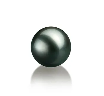 Perles Noires De Tahiti Non Percées - 10,5mm, Paire Avec Certificat, Qualité Culture