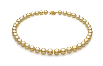 Or 9.04-11.83mm AAA-qualité des Mers du Sud 585/1000 Or Jaune-Collier de perles