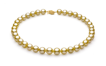 Or 10.89-12.75mm AAA-qualité des Mers du Sud 585/1000 Or Jaune-Collier de perles