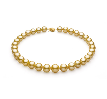 Or 11.53-15.2mm AAA+-qualité des Mers du Sud 585/1000 Or Jaune-Collier de perles