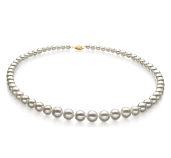 Blanc 4-10mm AAA-qualité perles d'eau douce Rempli D'or-Collier de perles