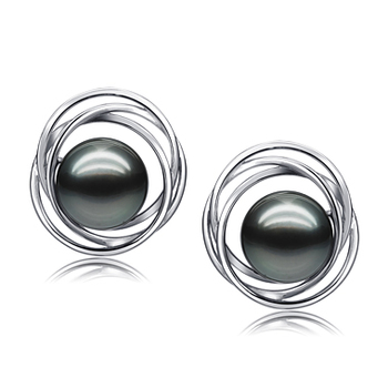 Cercle triple Stud Noir 9-10mm AAA-qualité de Tahiti 585/1000 Or Blanc-Boucles d'oreilles en perles