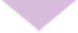 dernier_pointeur_de_section